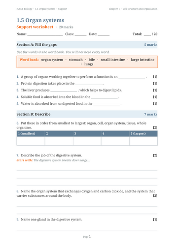 docx, 20.02 KB