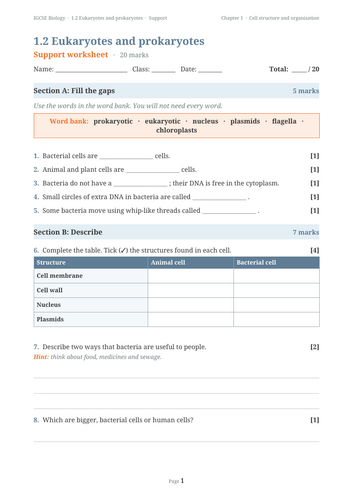 docx, 20.06 KB