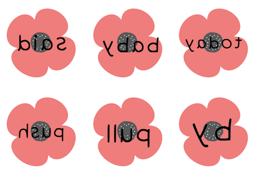 Poppy Themed Tricky Word Mirror Reading