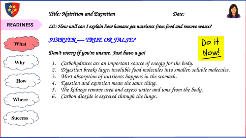 Animal Nutrition and Excretion in Humans | Teaching Resources