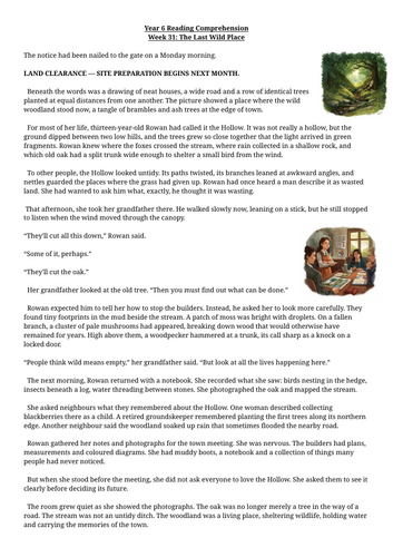 Year 6 Reading Comprehension Week 31 - Reading and Answers | Teaching ...