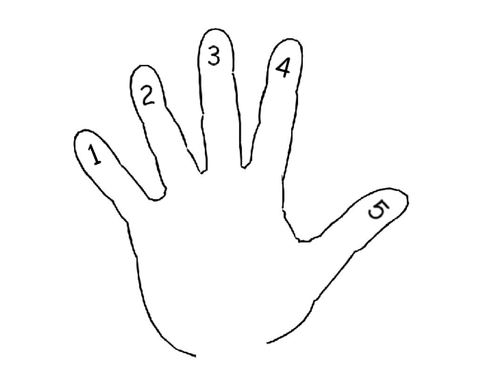 Numberline 1-10 hands | Teaching Resources
