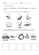 Science end-of-unit tests by mousethew - Teaching Resources - Tes