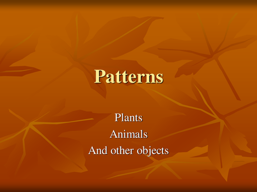 3b Patterns | Teaching Resources