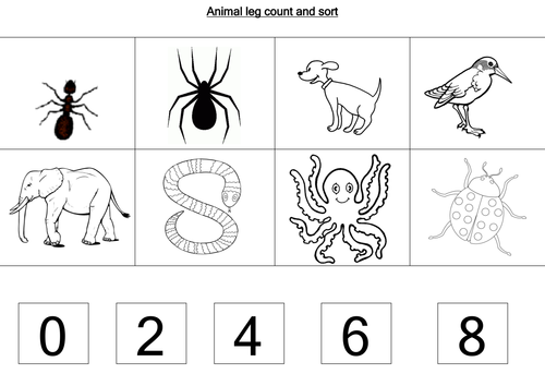 Animal worksheets by loretolady - Teaching Resources - TES