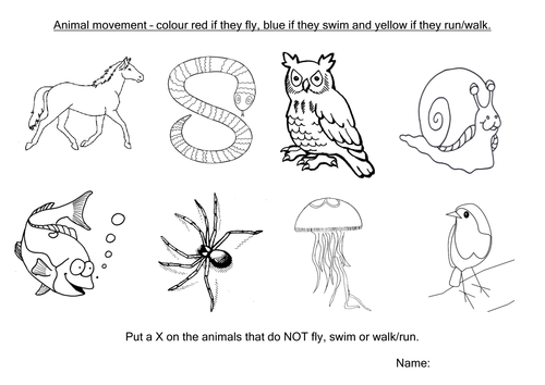 2 animals legged worksheet loretolady by Teaching Resources worksheets TES Animal 2 animals legged worksheet loretolady by Teaching Resources worksheets TES Animal