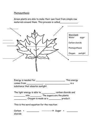 Worksheets Photosynthesis For Kids Worksheets photosynthesis worksheet by hazcard teaching resources tes with word bank doc