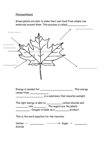 photosynthesis worksheet teaching resources