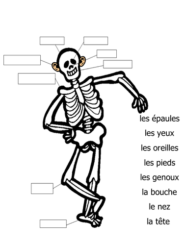 Le corps - body parts in French labelling activity and flashcard