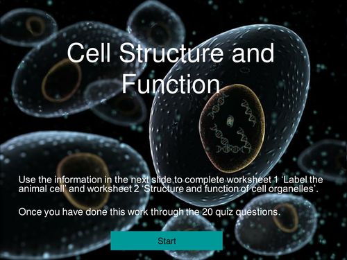 AS Level Biology Animal Cell Structure and Function Quiz | Teaching  Resources