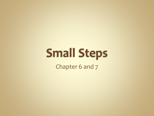Small Steps Novel Study