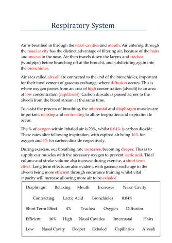 Respiratory Starter Exercise For Gcse Pupils 