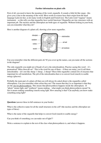 Plant cell activity for year 7 | Teaching Resources