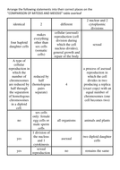 The differences between mitosis and meiosis by BioGas66 | Teaching