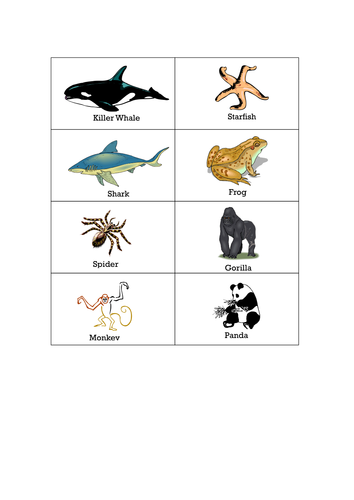 Pictures for making keys HT | Teaching Resources