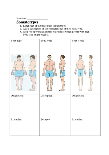 Worksheets Pe Worksheets gcse pe worksheets by sammik teaching resources tes somatotypes worksheet doc