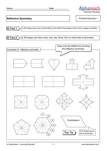 Reflective-symmetry.pdf