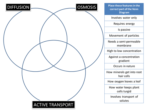 Diffusion/Osmosis/Active Transport Venn Puzzle | Teaching Resources