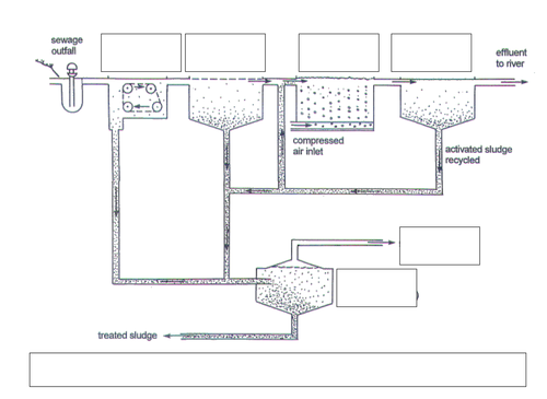 Sewage treatment | Teaching Resources