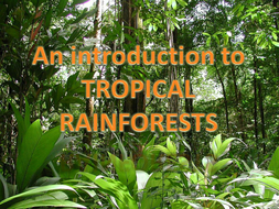 Rainforest introduction powerpoint KS2 | Teaching Resources