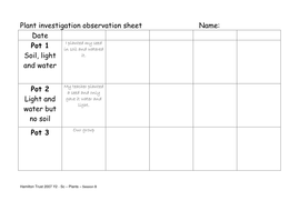 Seed investigation | Teaching Resources
