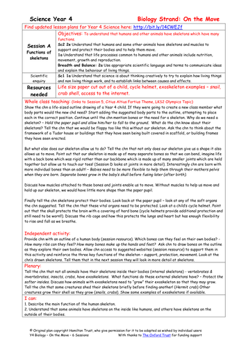 Functions of skeletons | Teaching Resources