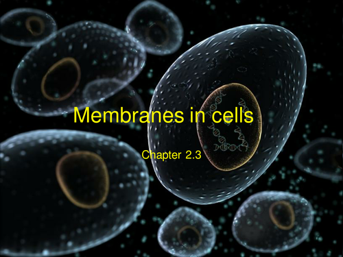 Presentation on structure of the plasma membrane | Teaching Resources