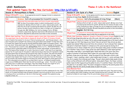 Life Cycle of a Plant | Teaching Resources