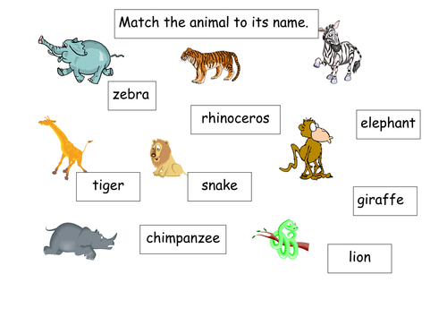 rumble in the jungle teaching resources teaching resources