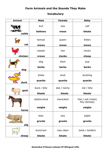 Farm Animals And The Sounds They Make Teaching Resources