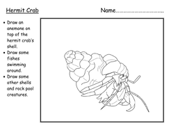 Hermit Crab | Teaching Resources