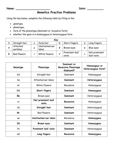 Genetics Practise Problems | Teaching Resources