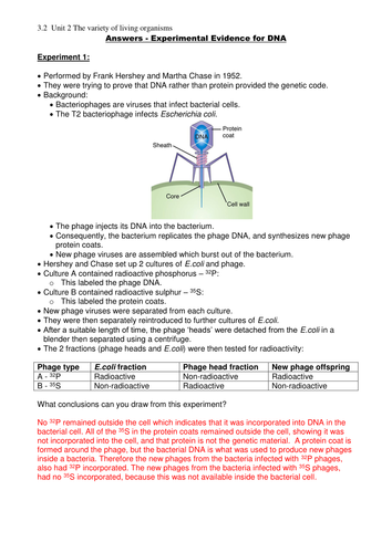 docx, 181.33 KB