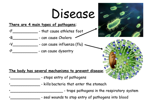 ppt, 202.5 KB