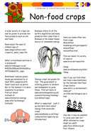 Non -food Crops: Exploring via the web | Teaching Resources