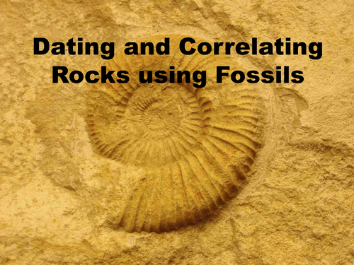 Fossils (Formation/types) Biostratigraphy (Dating) | Teaching Resources