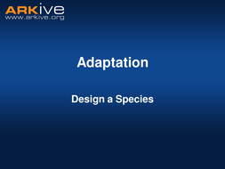 ARKive's Adaptation Activity - Design a Species | Teaching Resources