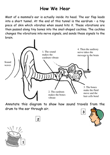 Printables Sound Science Worksheets sound science worksheets davezan collection of bloggakuten