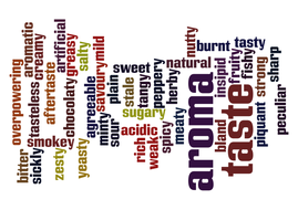 Sensory Qualities Word Banks | Teaching Resources