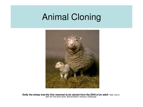 Animal Cloning | Teaching Resources