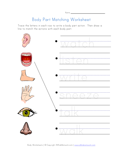 human body term lesson plan and materials teaching resources