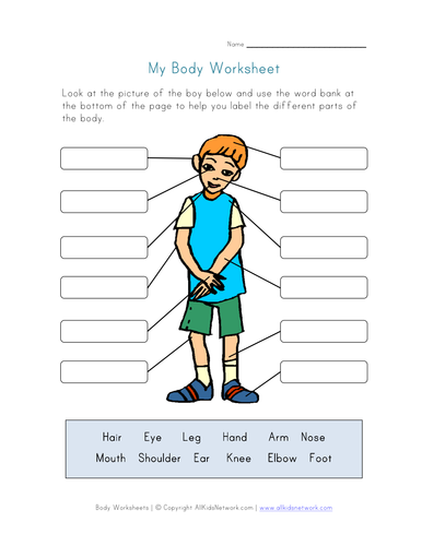 'Human Body' Term Lesson Plan and materials | Teaching ...