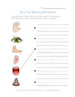 'Human Body' Term Lesson Plan and materials by isaacreedy45 - UK