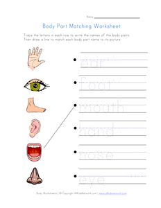 'Human Body' Term Lesson Plan and materials by isaacreedy45 - UK