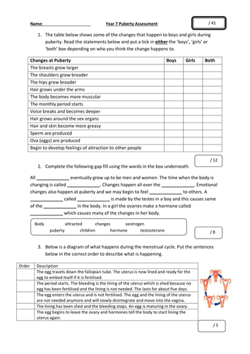 puberty scheme of work key stage 3 teaching resources