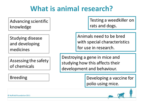 The ethics of research involving animals | Teaching Resources