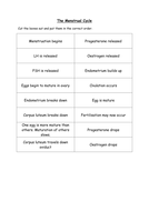 Menstrual Cycle Activities | Teaching Resources