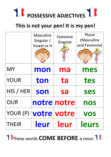 French Possessive Adjectives Pronouns Teaching Resources