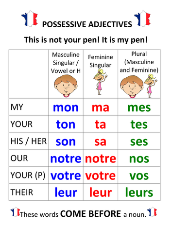 French Possessive Adjectives / Pronouns | Teaching Resources