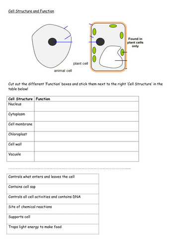 cells unit teaching resources